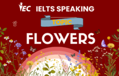 IELTS Speaking Topic: Flowers ielts-speaking-topic-flowers